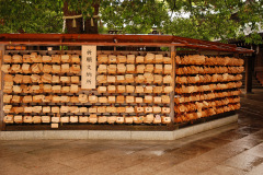 Muza chan's Japan Photo Gallery